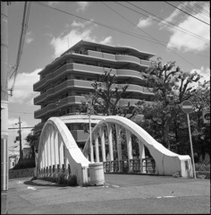 橋