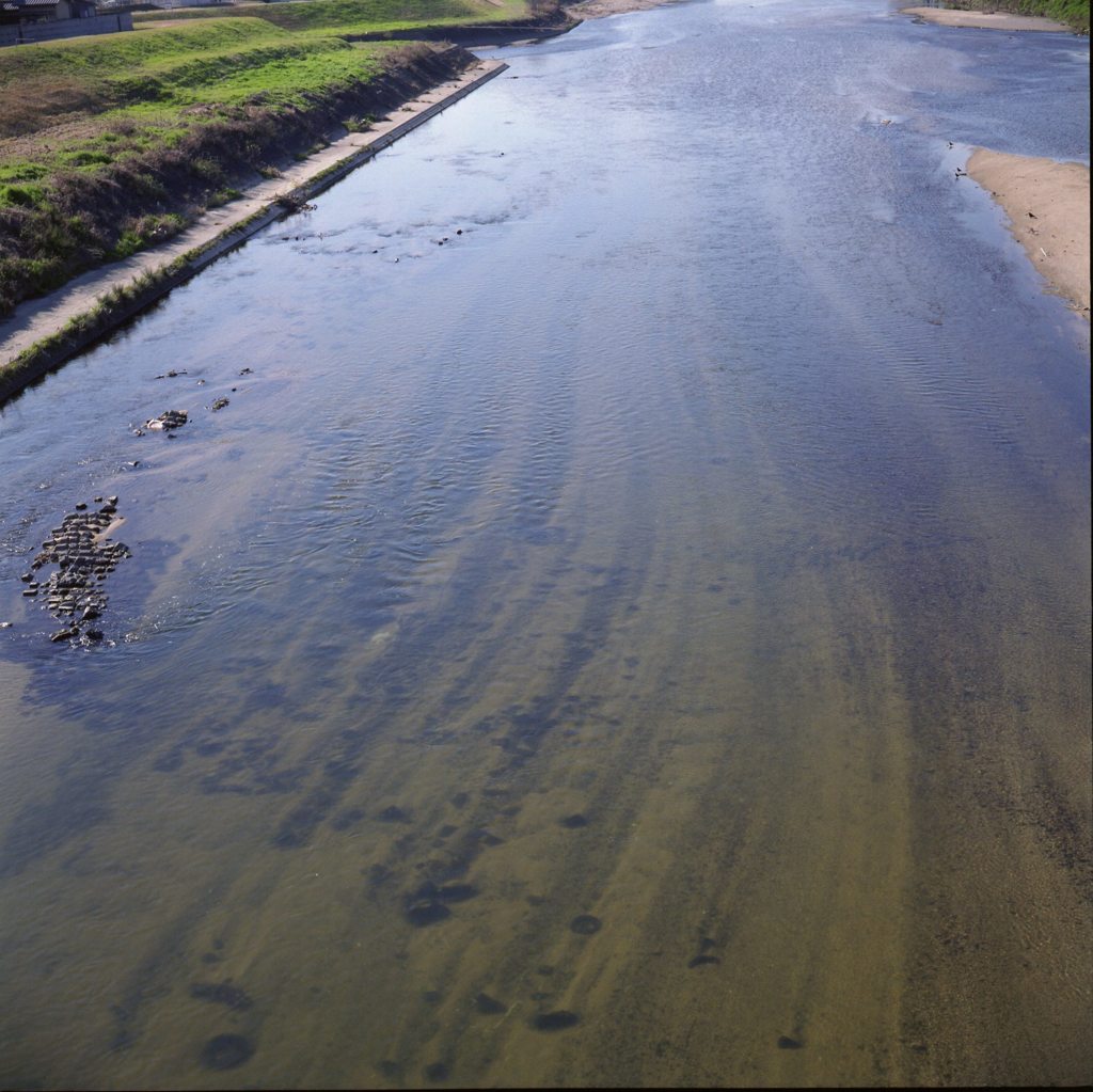 河川敷を歩く～大和川１２