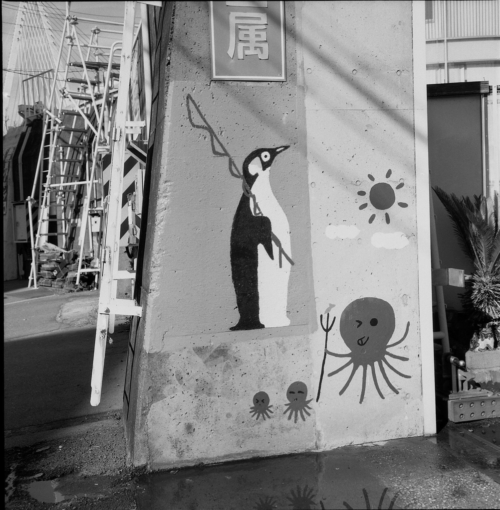 ペンギンとタコ