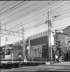 ミミハナノドイソ (ノ)