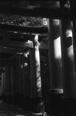 伏見稲荷千本鳥居３