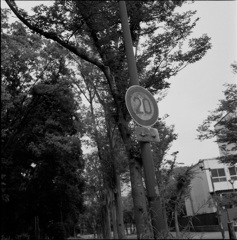 ⑳