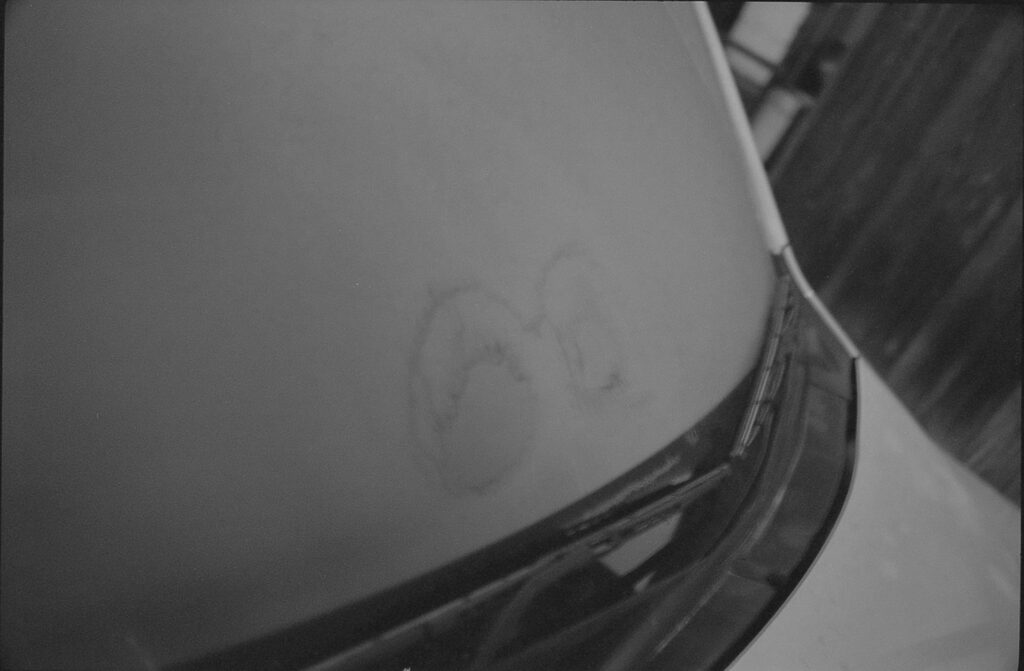 フロントガラスの目