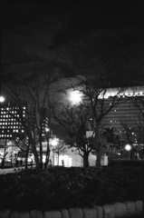 月夜