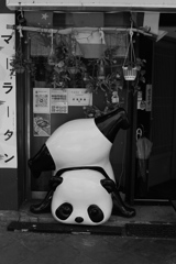 逆立ちパンダ