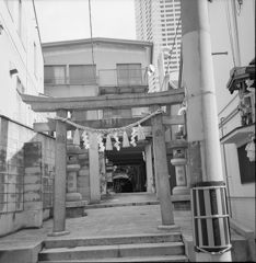 参道