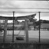 校庭の鳥居