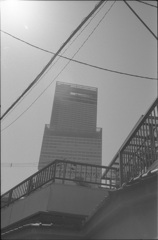逆光