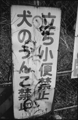 看板