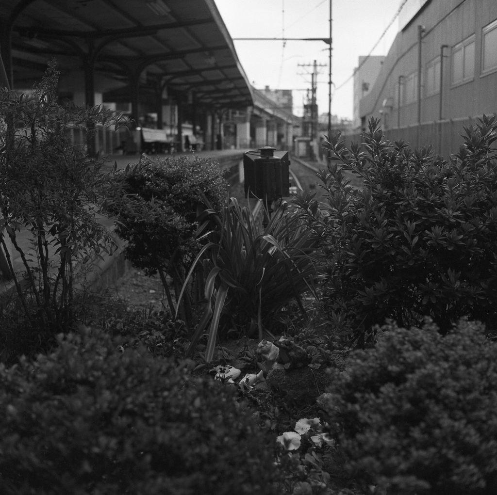 終着駅