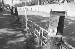 並切り株道