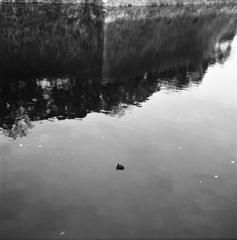 気の向くままに・・・