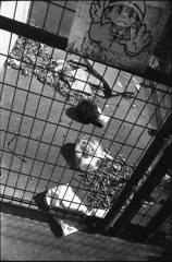 撮るんじゃない！