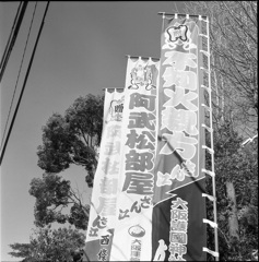 春場所のころ