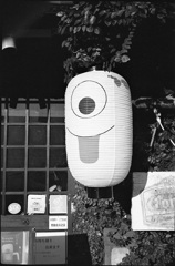 昼のわたし