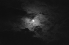 月夜