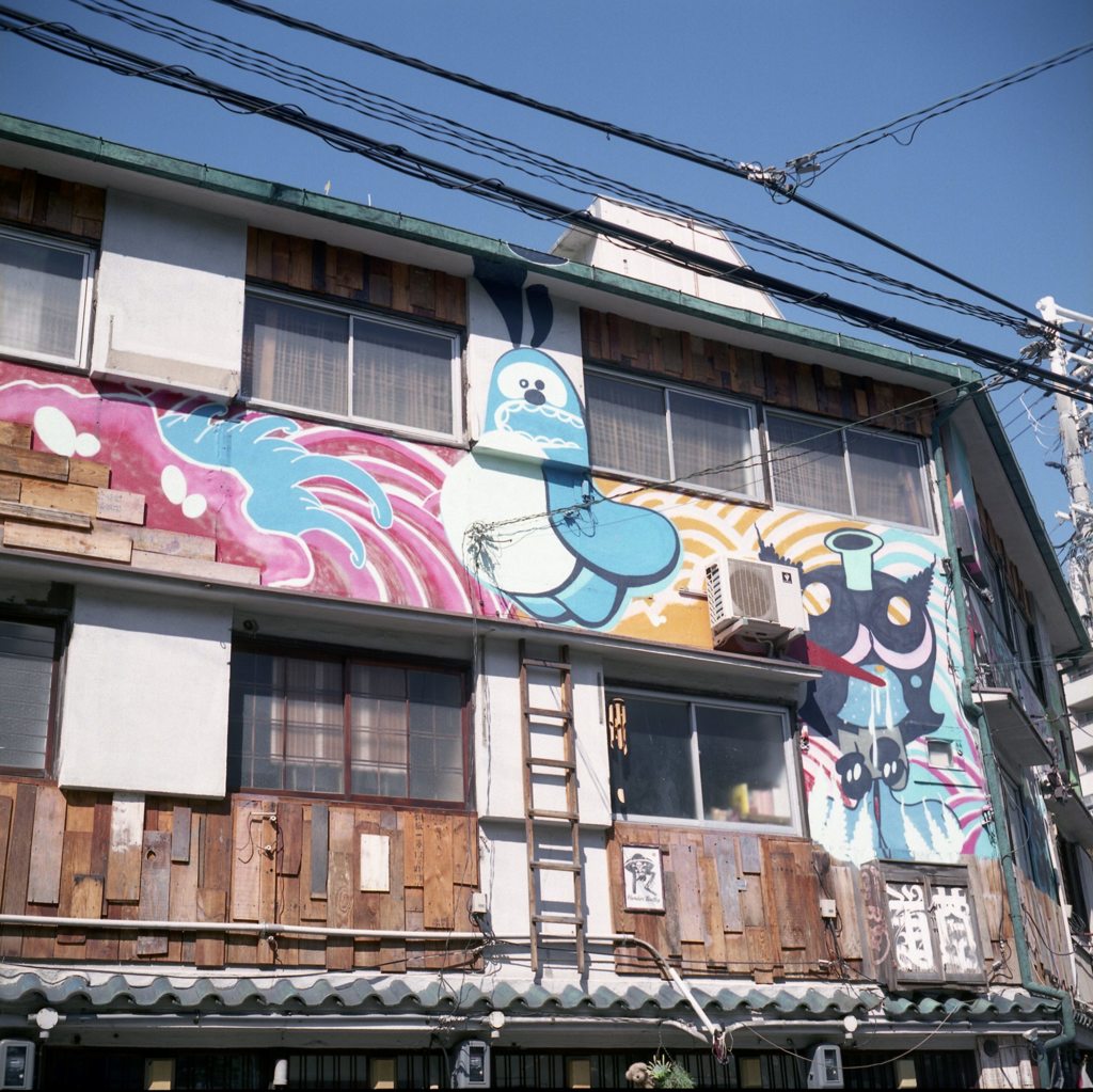 Painted House 1