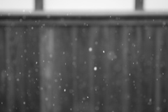 雪の日１
