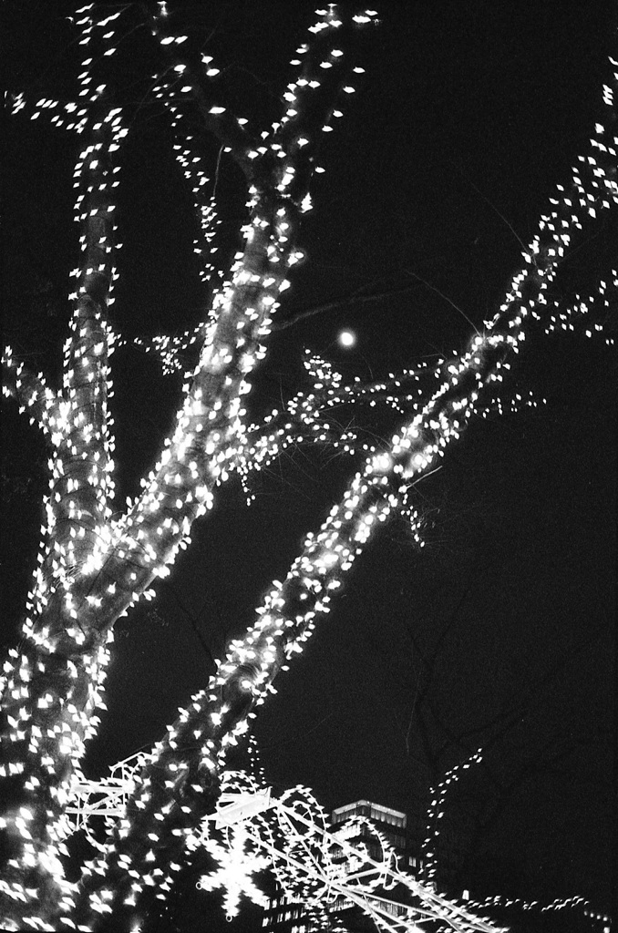 イルミネーション