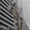 ヒルノワタシ