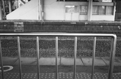 fence