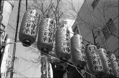 榎木大明神