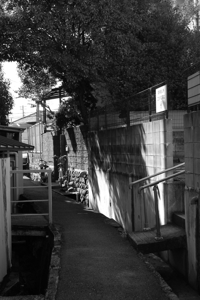 路地