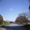 河川敷を歩く～大和川９