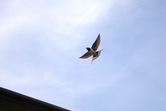 子育て奮闘中！