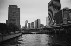 川の日常