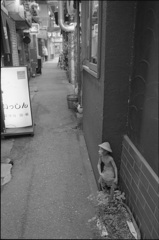 路地の住人
