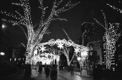 イルミネーション