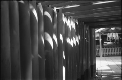 伏見稲荷千本鳥居２