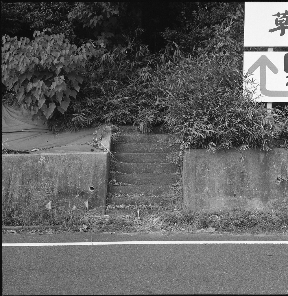 笹薮への階段