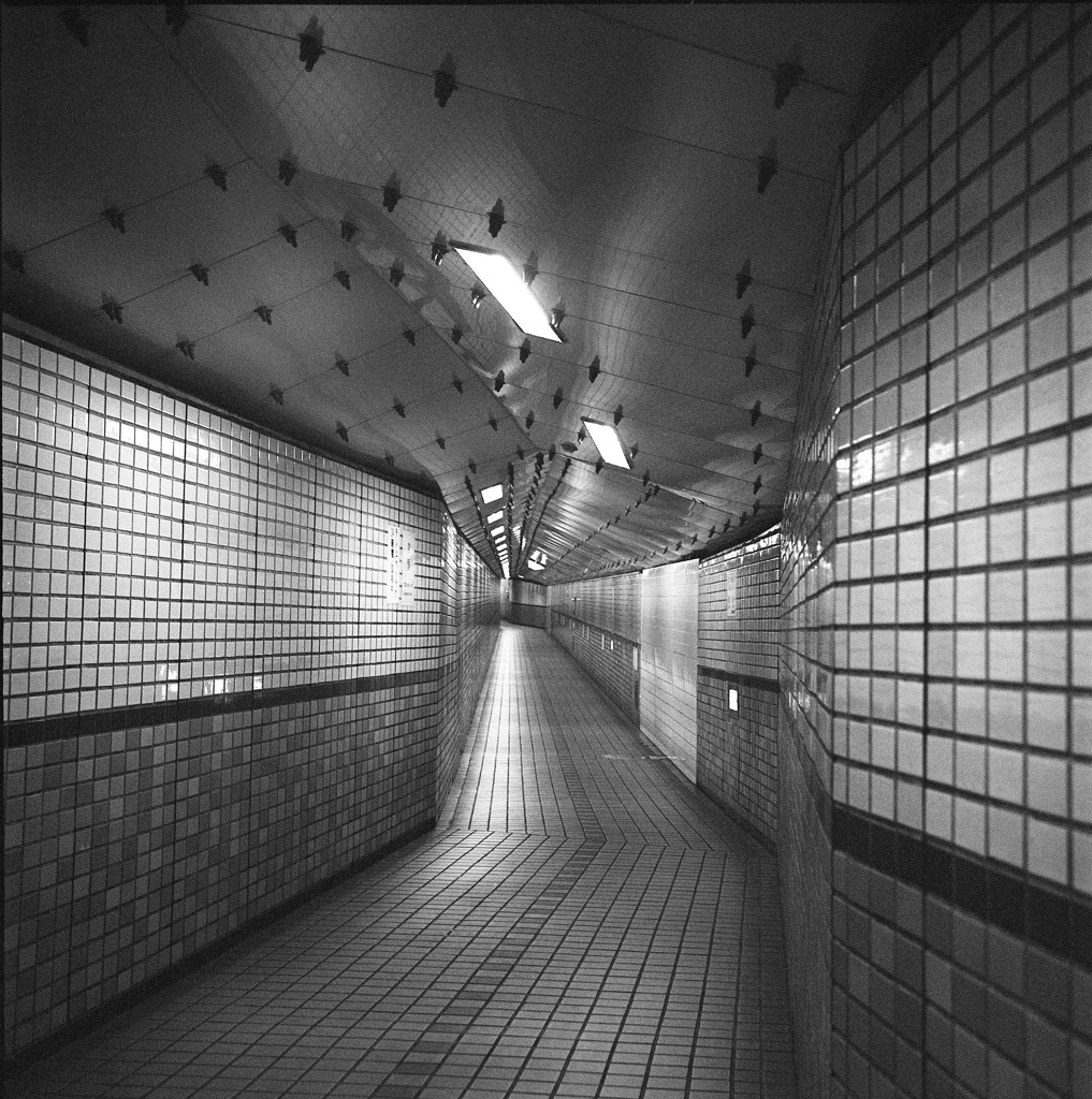 川底トンネル