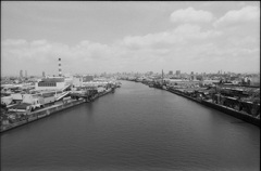 てっぺんからの景色