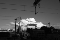 Black in White