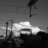 Black in White