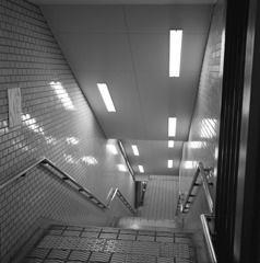 entrance