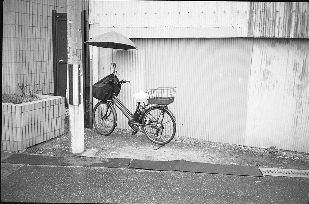 かさ付