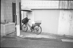 かさ付