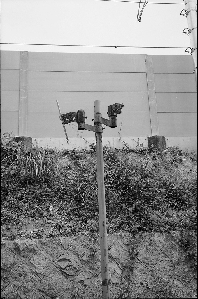 pole