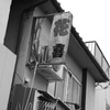 花喜