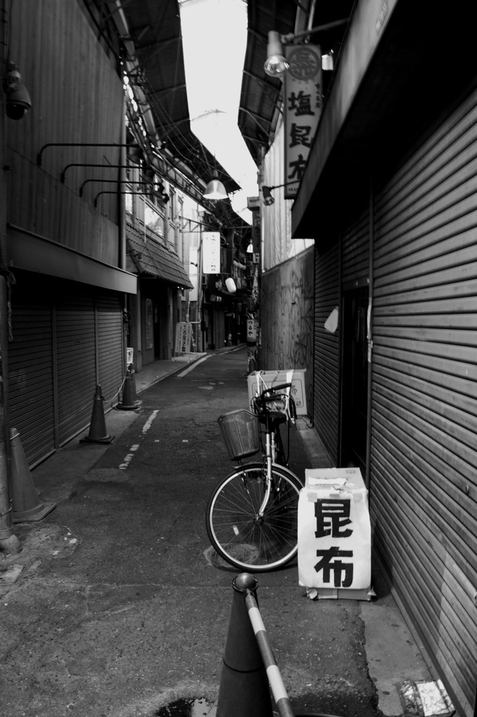 昆布