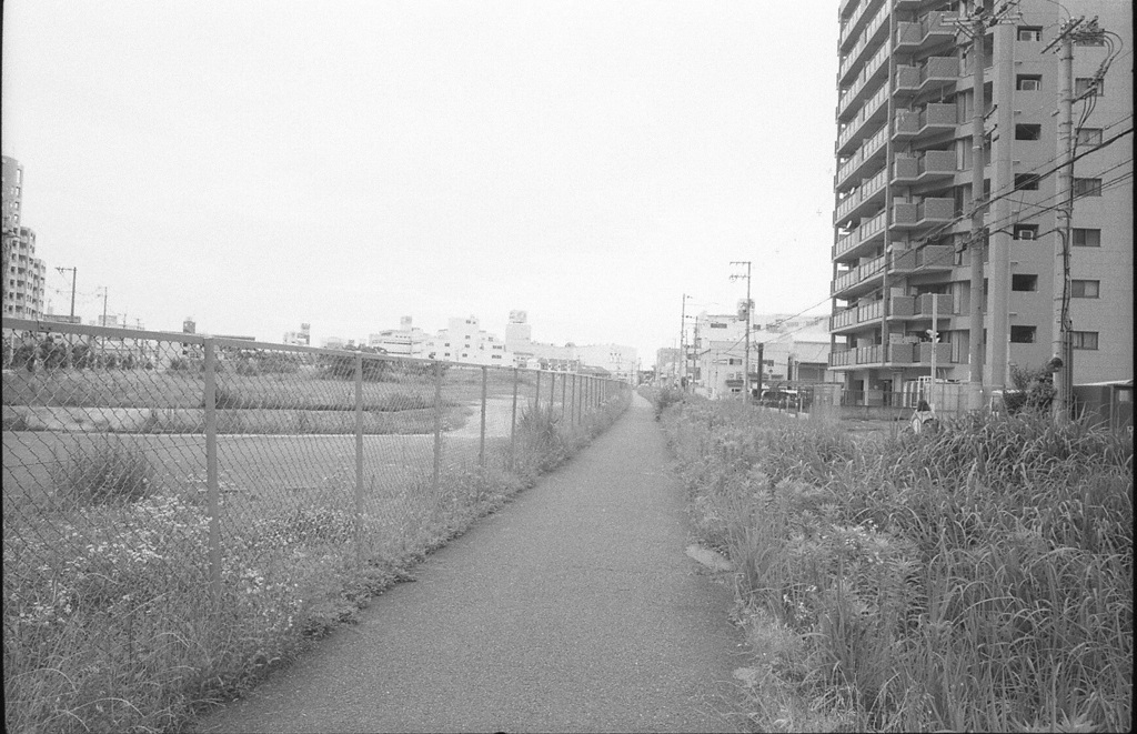 道