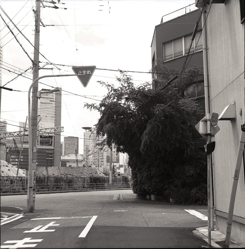 緑の怪物