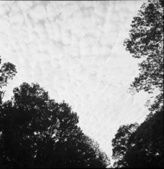 雲２