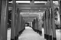 鳥居トンネル