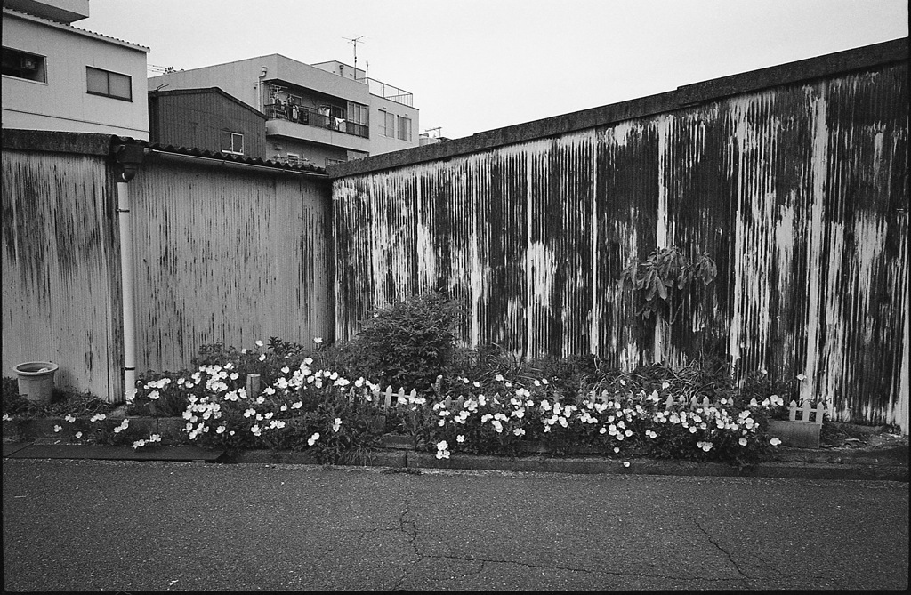 花壇