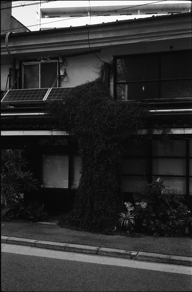 入口もじゃ
